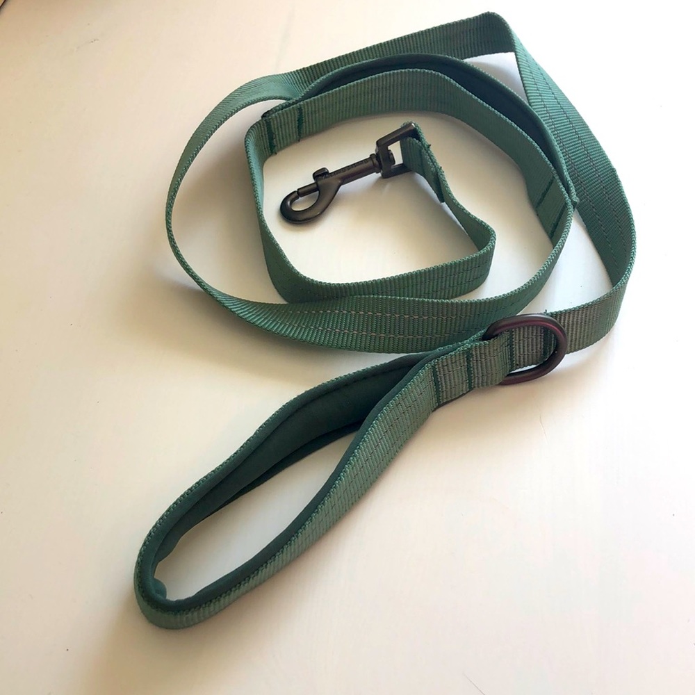 Boots and Barkley 4 foot Dog Leash